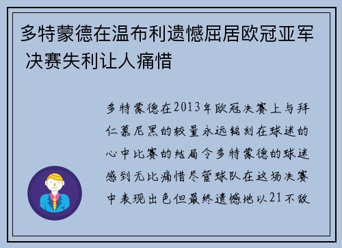 多特蒙德在温布利遗憾屈居欧冠亚军 决赛失利让人痛惜